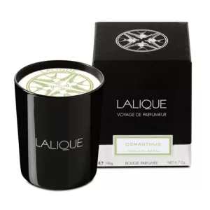 Bougie Osmanthus