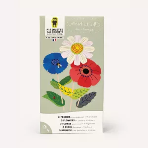 Jeux Fleurs des Champs